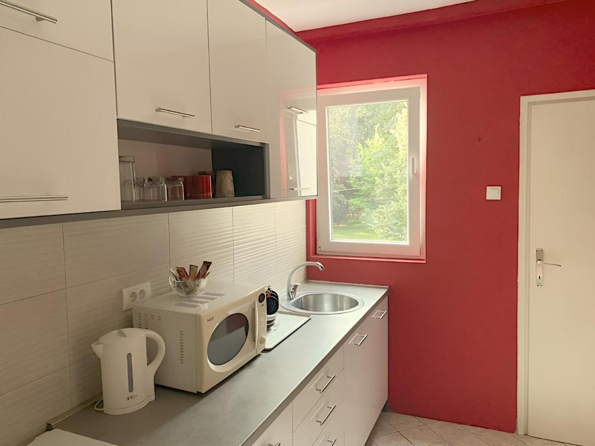 Central Park Apartment Cacak Exterior photo